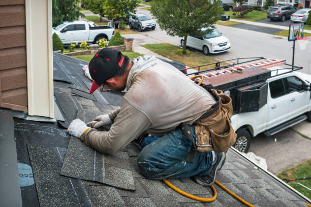 Professional Roof Leak Repair technician working in Le Mars, IA